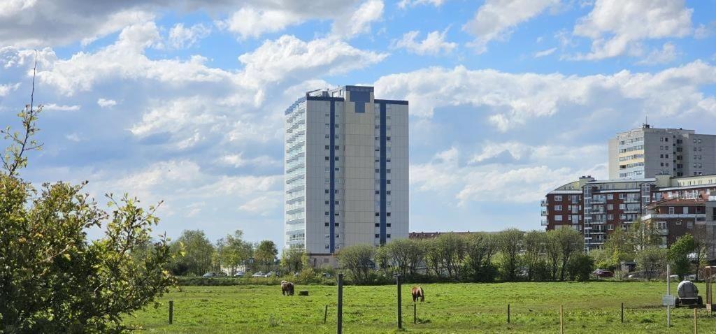 Frische-brise-12-04