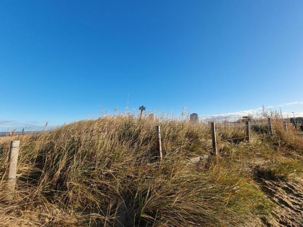 Frische-brise-12-04 * Cuxhaven